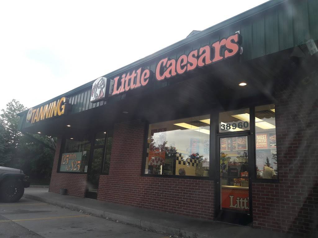 Little Caesars Pizza | meal takeaway | 38960 Cherry Hill Rd, Westland, MI 48185, USA | 7347220290 OR +1 734-722-0290