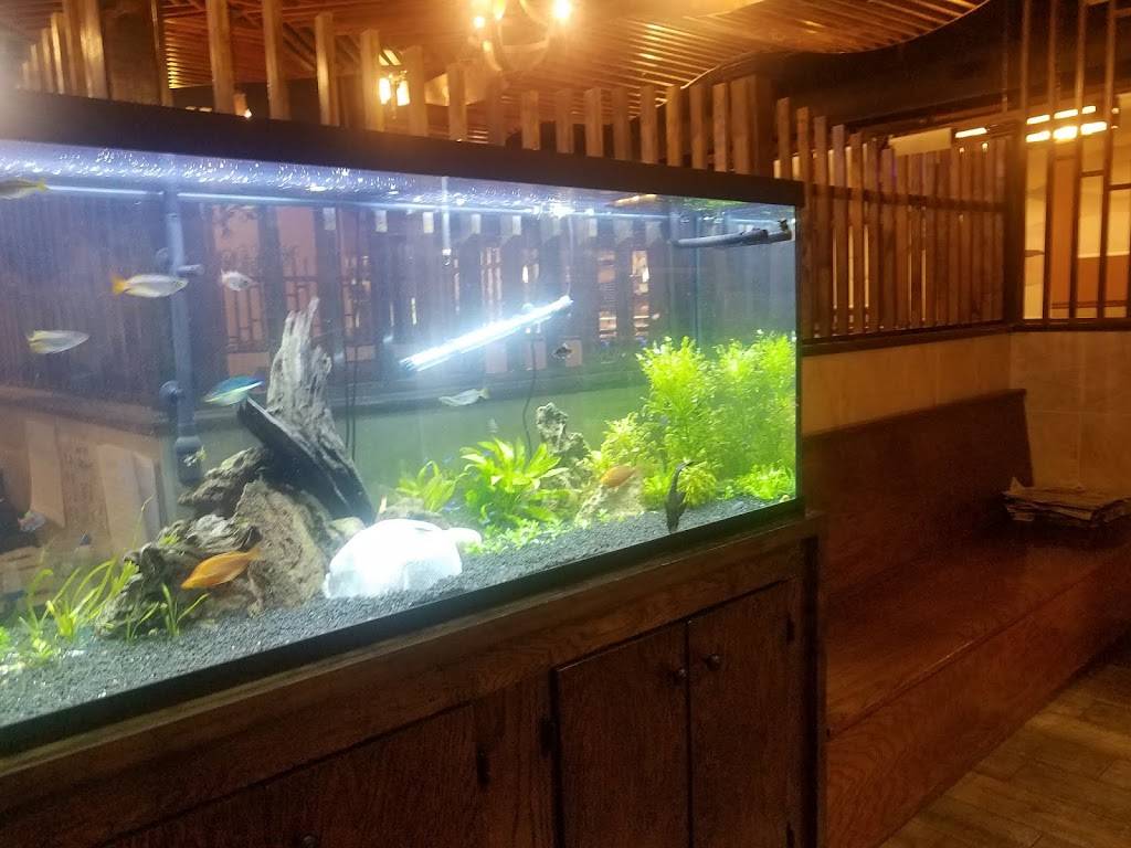 Yoshi Sushi Bar and Japanese Cuisine | restaurant | 260 Racine Dr, Wilmington, NC 28403, USA | 9107996799 OR +1 910-799-6799