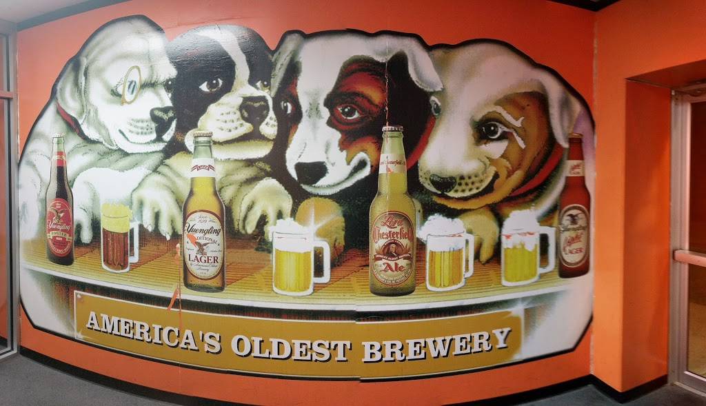 Hammerhead Lounge | restaurant | 326 Main St, Northampton, PA 18067, USA | 6102626713 OR +1 610-262-6713