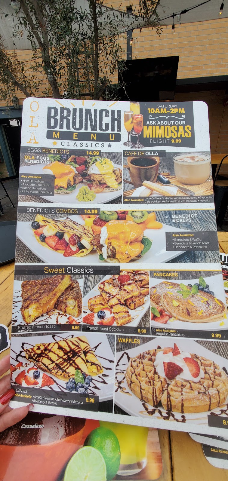 OLA Restobar Downey | restaurant | 11040 Downey Ave, Downey, CA 90241, USA | 5629555533 OR +1 562-955-5533