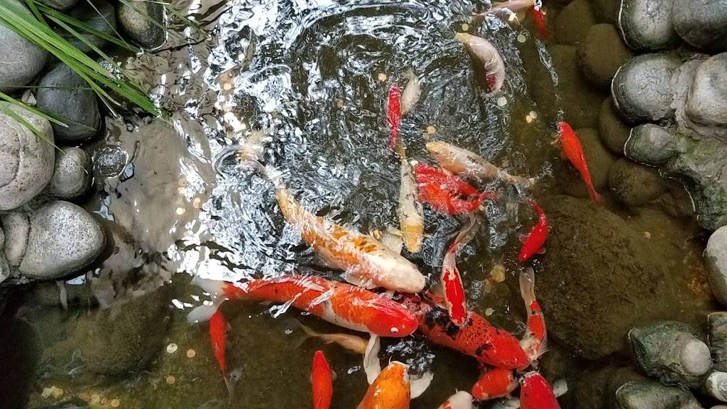 Golden Wok | restaurant | 8822 Wurzbach Rd, San Antonio, TX 78240, USA | 2106158282 OR +1 210-615-8282