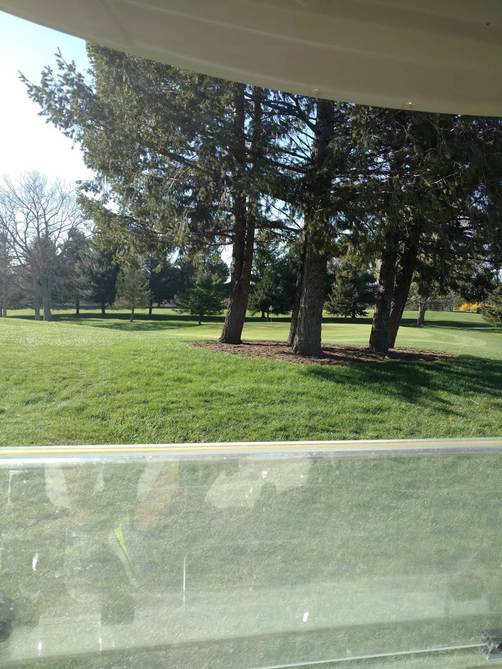 Morrison Lake Golf Club | restaurant | 6425 Portland Rd, Saranac, MI 48881, USA | 6166429528 OR +1 616-642-9528