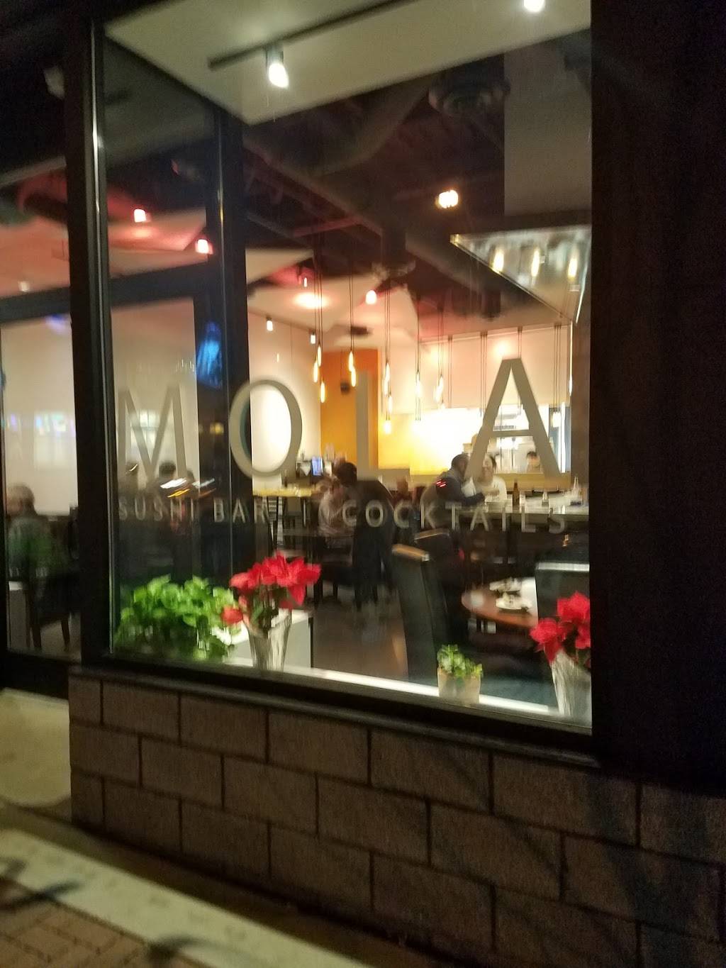 Mola | restaurant | 6018 Penn Ave, Pittsburgh, PA 15206, USA | 4123656688 OR +1 412-365-6688