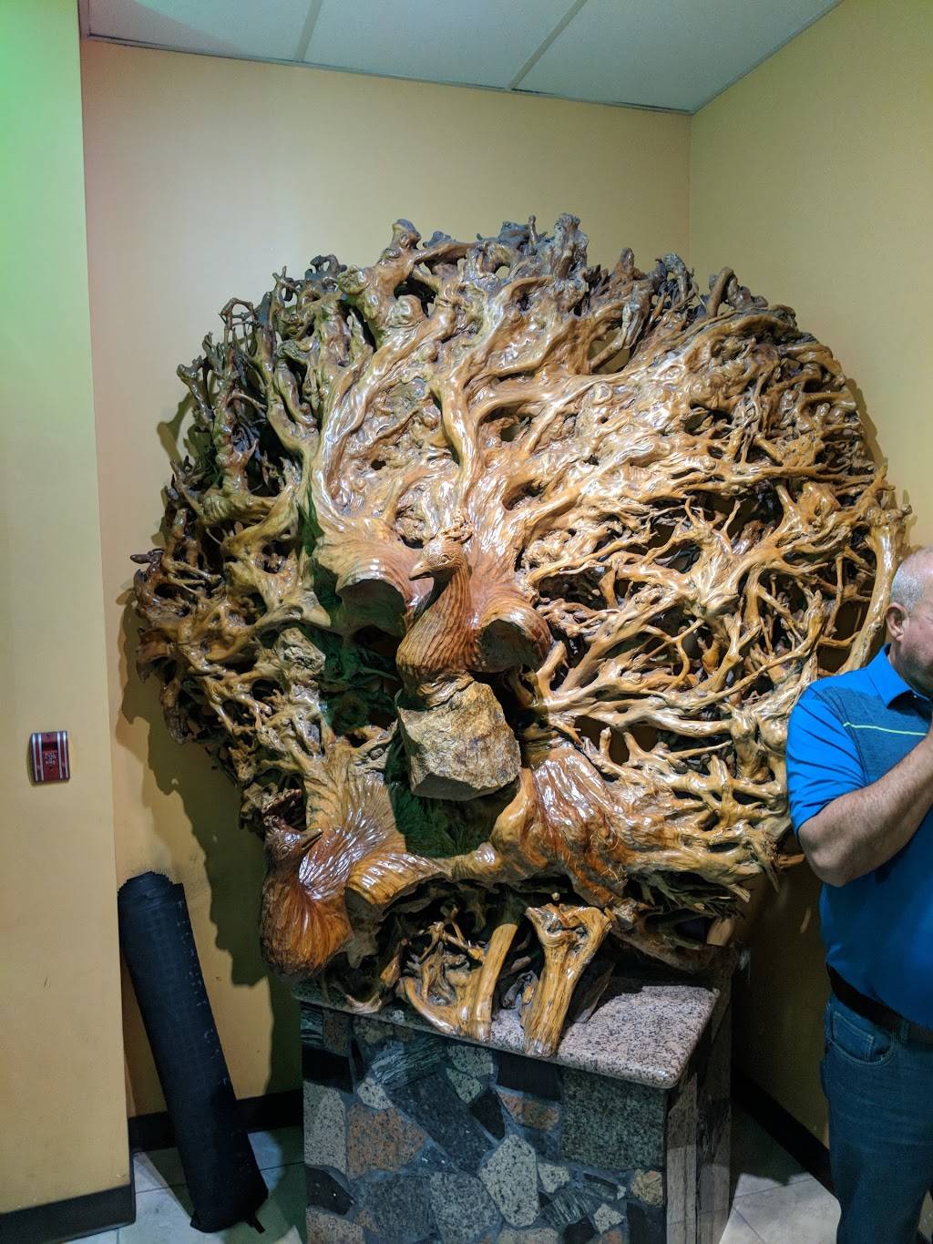 China Buffet | restaurant | 3800 W 18th Ave #100, Hialeah, FL 33012, USA | 3058198936 OR +1 305-819-8936