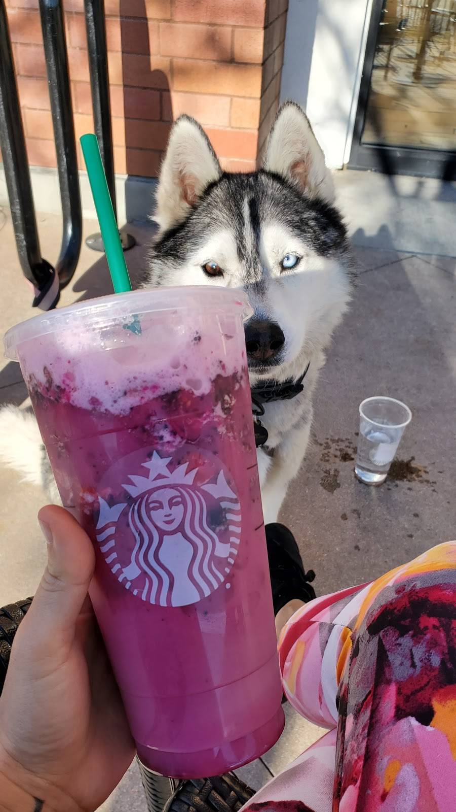 Starbucks | cafe | 3869 W Rancho Vista Blvd, Palmdale, CA 93551, USA | 6617221807 OR +1 661-722-1807