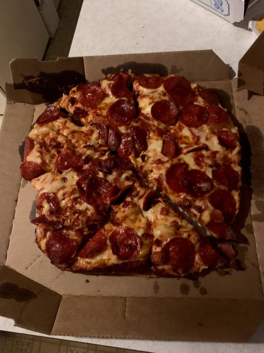 Dominos Pizza | meal delivery | 309 N Central Ave, Duluth, MN 55807, USA | 2186283030 OR +1 218-628-3030