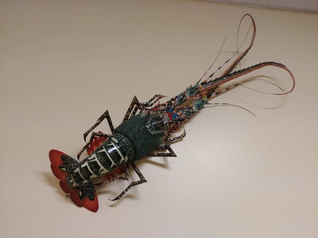 Rotasu Hibachi (was Sakura Broadway) | meal delivery | 5855 Broadway Ave, Cleveland, OH 44127, USA | 2166418888 OR +1 216-641-8888