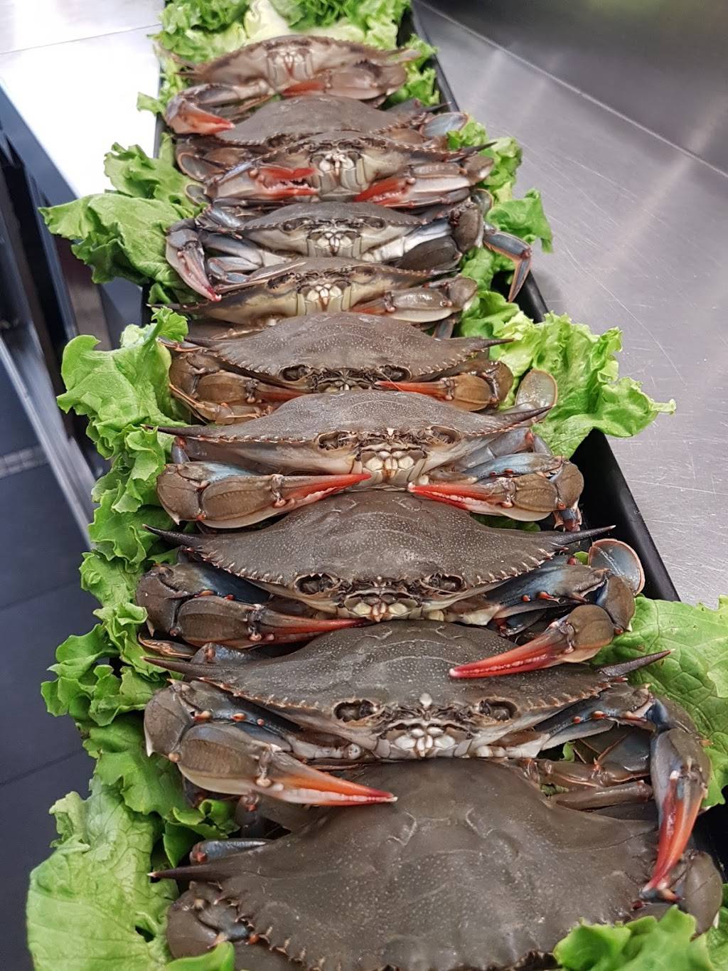 Pisces Gourmet Seafood Specialty Shop | meal takeaway | 1097 Yonge St, Toronto, ON M4W 2L7, Canada | 4169218888 OR +1 416-921-8888