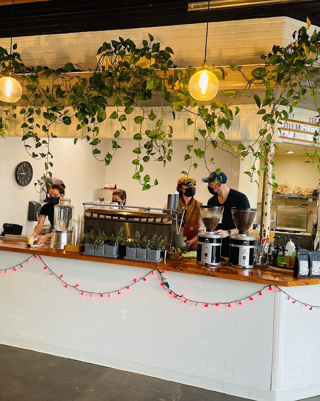 Roastology | cafe | 2701 W Cary St, Richmond, VA 23220, USA | 8049186486 OR +1 804-918-6486