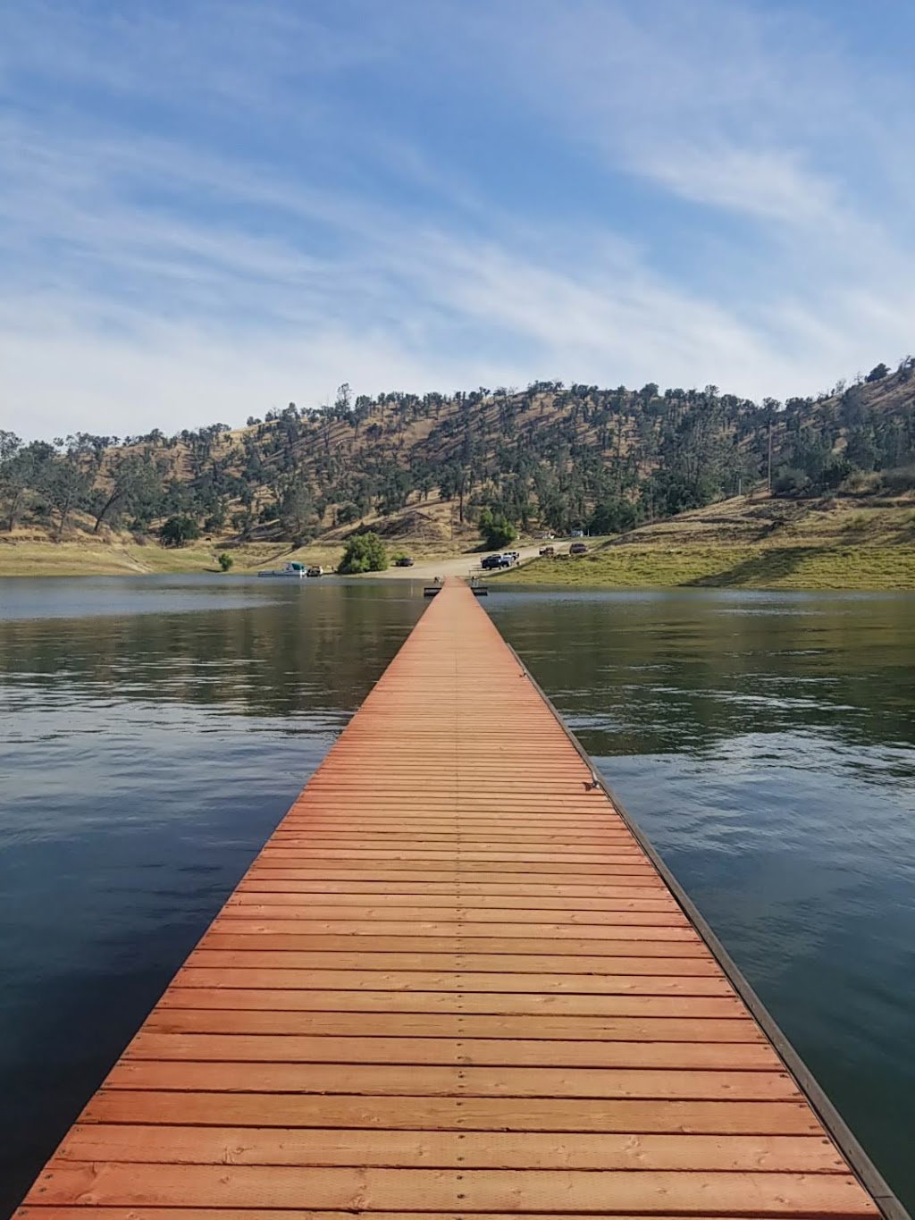 Millerton Marina | restaurant | 19305 Winchell Cove Rd, Friant, CA 93626, USA | 8668993625 OR +1 866-899-3625