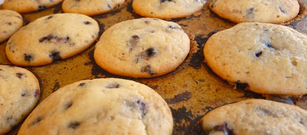 Castine Variety | restaurant | Main St, Castine, ME 04421, USA | 2073269920 OR +1 207-326-9920