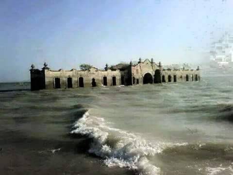 Viejo Padilla Mexican Restaurant | restaurant | 22513 Community Dr, New Caney, TX 77357, USA | 2817476592 OR +1 281-747-6592