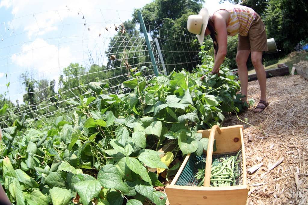 Bistro At the Bijou | restaurant | 807 S Gay St, Knoxville, TN 37902, USA | 8655440537 OR +1 865-544-0537