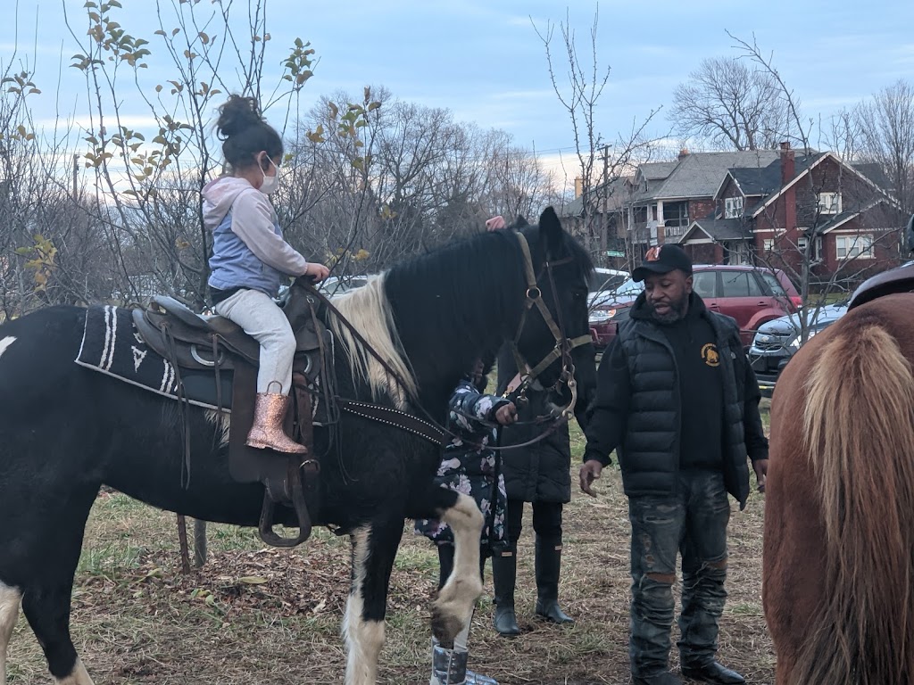 Detroit Farm & Cider | restaurant | 1600 Lawrence St, Detroit, MI 48206, USA | 3139150057 OR +1 313-915-0057