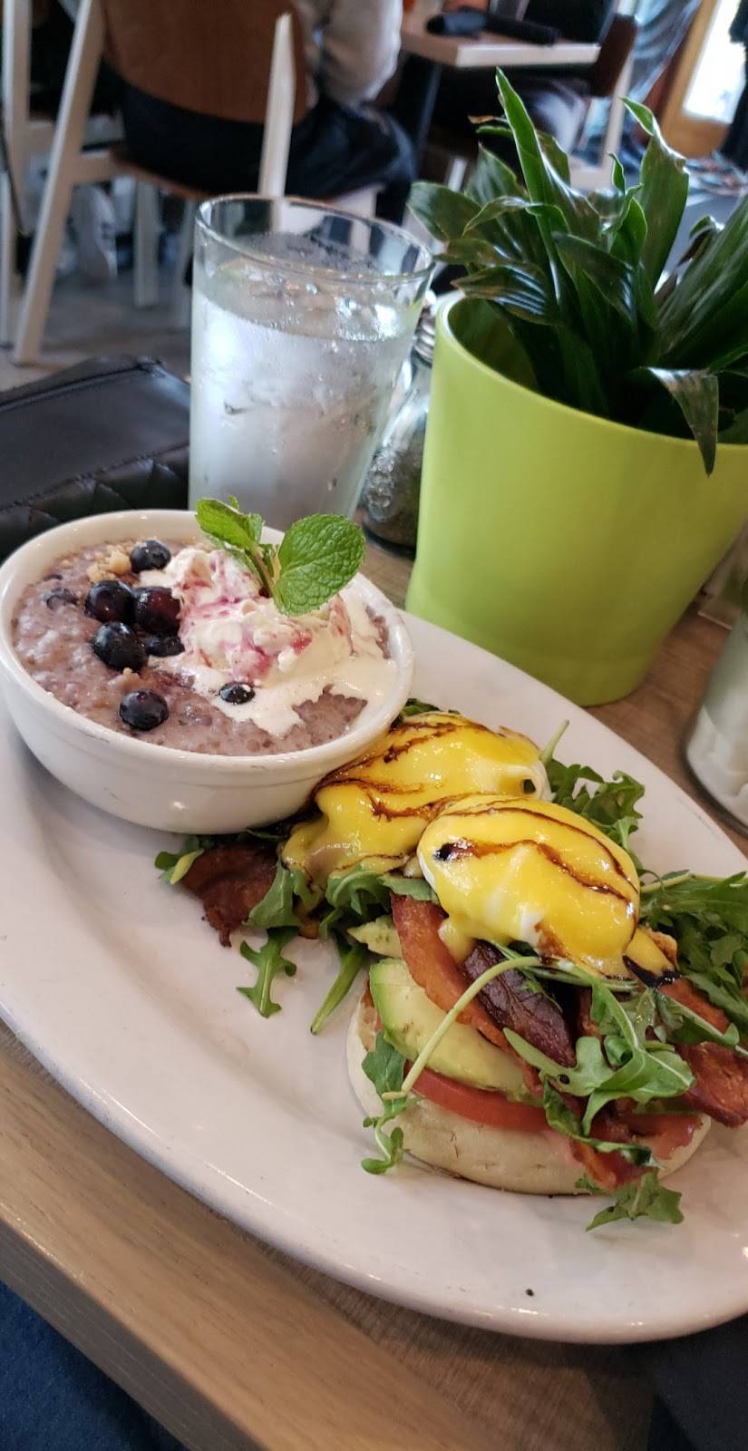 Medusa Pizzeria | restaurant | 2327 Gaul St, Philadelphia, PA 19125, USA | 2156448383 OR +1 215-644-8383