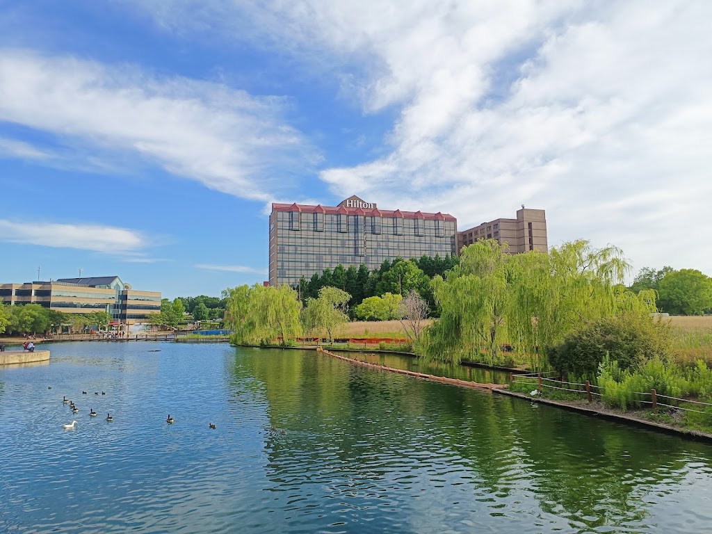 Boardwalk Billys Raw Bar and Ribs | restaurant | 9005 J M Keynes Dr #2, Charlotte, NC 28262, USA | 7045037427 OR +1 704-503-7427