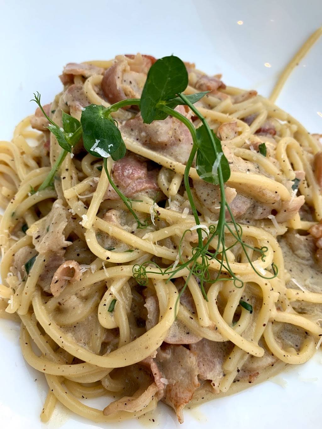 Bistecca Ristorante | restaurant | 224 Westheimer Rd, Houston, TX 77006, USA | 8328048064 OR +1 832-804-8064