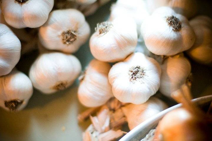 Market at the Fig | restaurant | 2523 Market Ave, Cleveland, OH 44113, USA | 2162414243 OR +1 216-241-4243