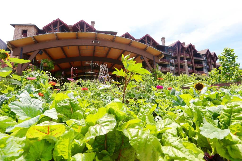 Chefs Garden | restaurant | 3 Wild Turkey Way, Hamburg, NJ 07419, USA | 8442768054 OR +1 844-276-8054