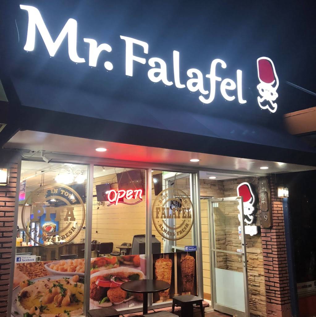 Mr Falafel | restaurant | 149 Marshall St, Syracuse, NY 13210, USA | 3153959595 OR +1 315-395-9595