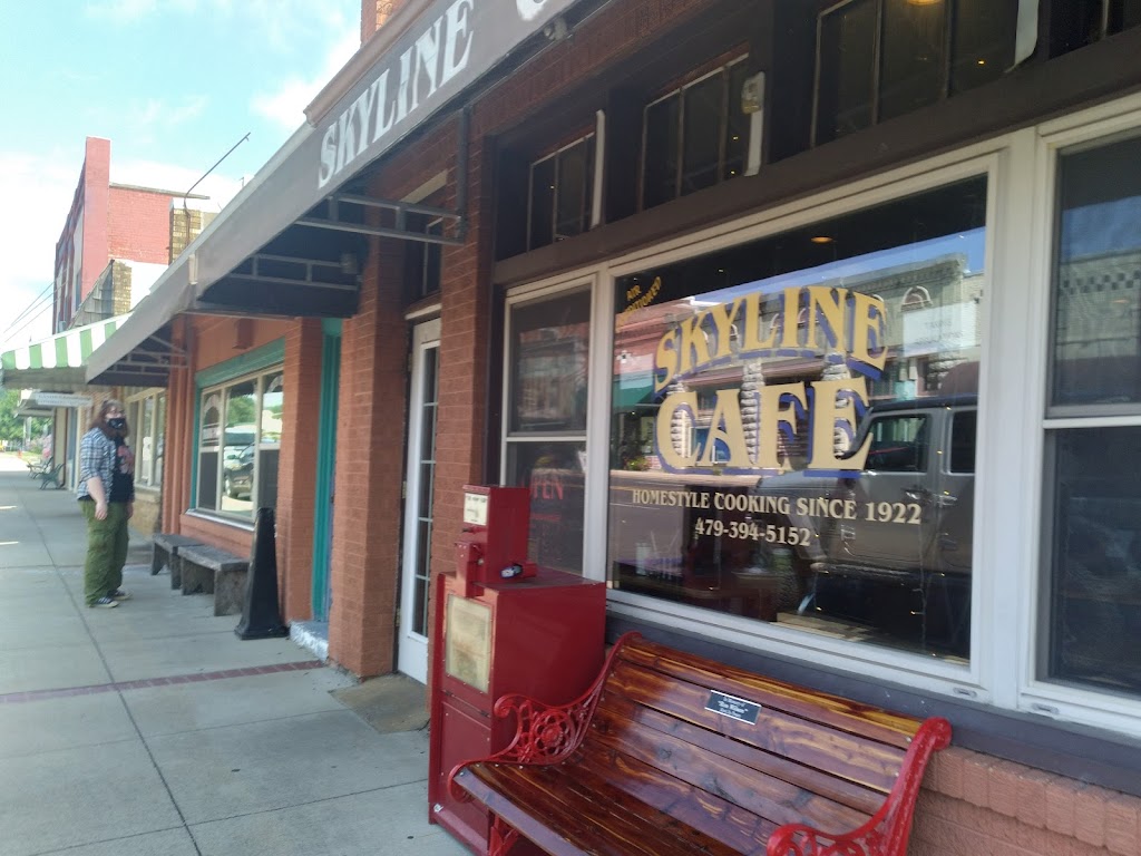 Skyline Cafe | cafe | 618 Mena St, Mena, AR 71953, USA | 4793945152 OR +1 479-394-5152