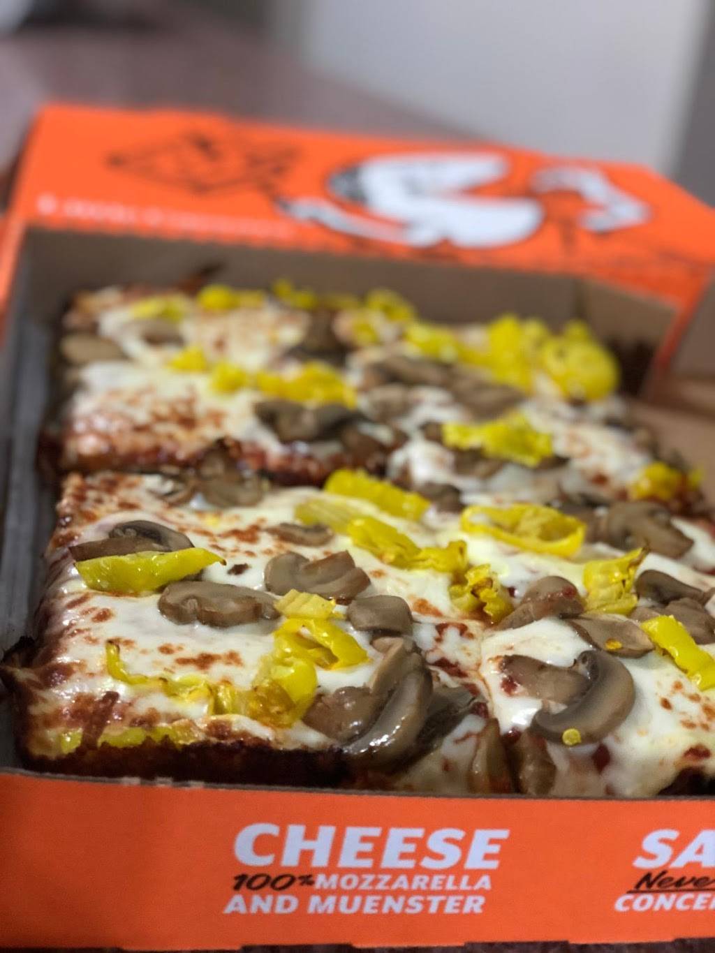 Little Caesars Pizza | meal takeaway | 48904 Van Dyke Ave, Shelby Charter Twp, MI 48317, USA | 5862548800 OR +1 586-254-8800