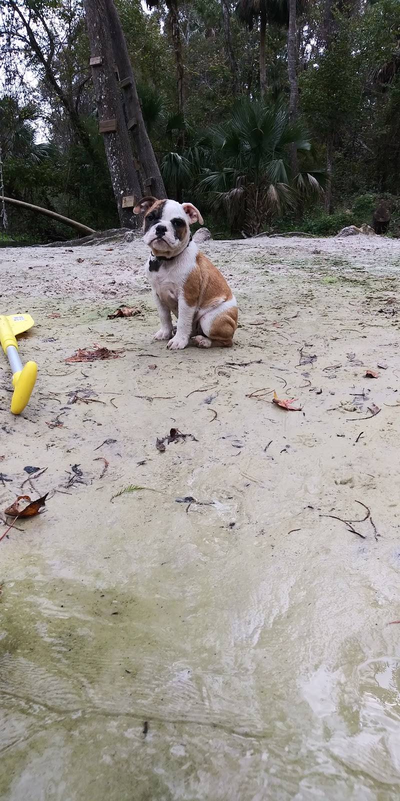 Tijuana Flats | restaurant | 444 S Hunt Club Blvd, Apopka, FL 32703, USA | 4077740402 OR +1 407-774-0402