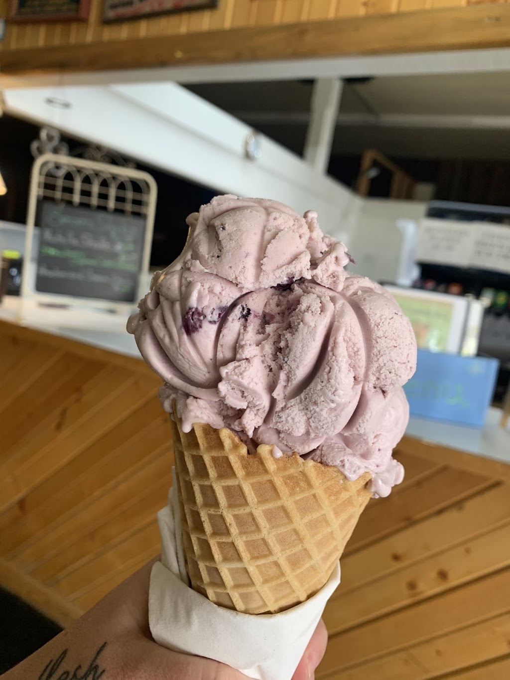 Four Winds Pizza | restaurant | 496 Main St, Walden, CO 80480, USA | 9707238668 OR +1 970-723-8668