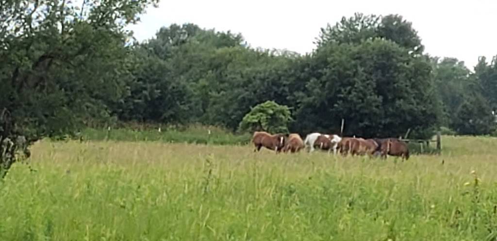 The Carlton Restaurant & Lounge | restaurant | 309 Superior Ave, Tomah, WI 54660, USA | 6083724136 OR +1 608-372-4136