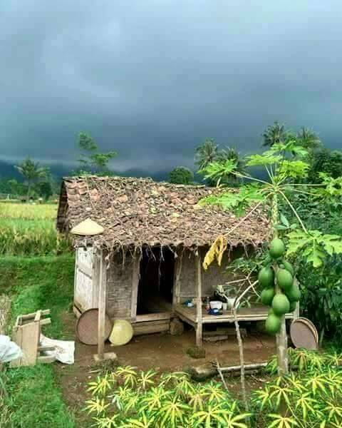 Mariscos Uruapan Bar & Grill | restaurant | 13310 Ramona Blvd, Baldwin Park, CA 91706, USA | 6263379207 OR +1 626-337-9207