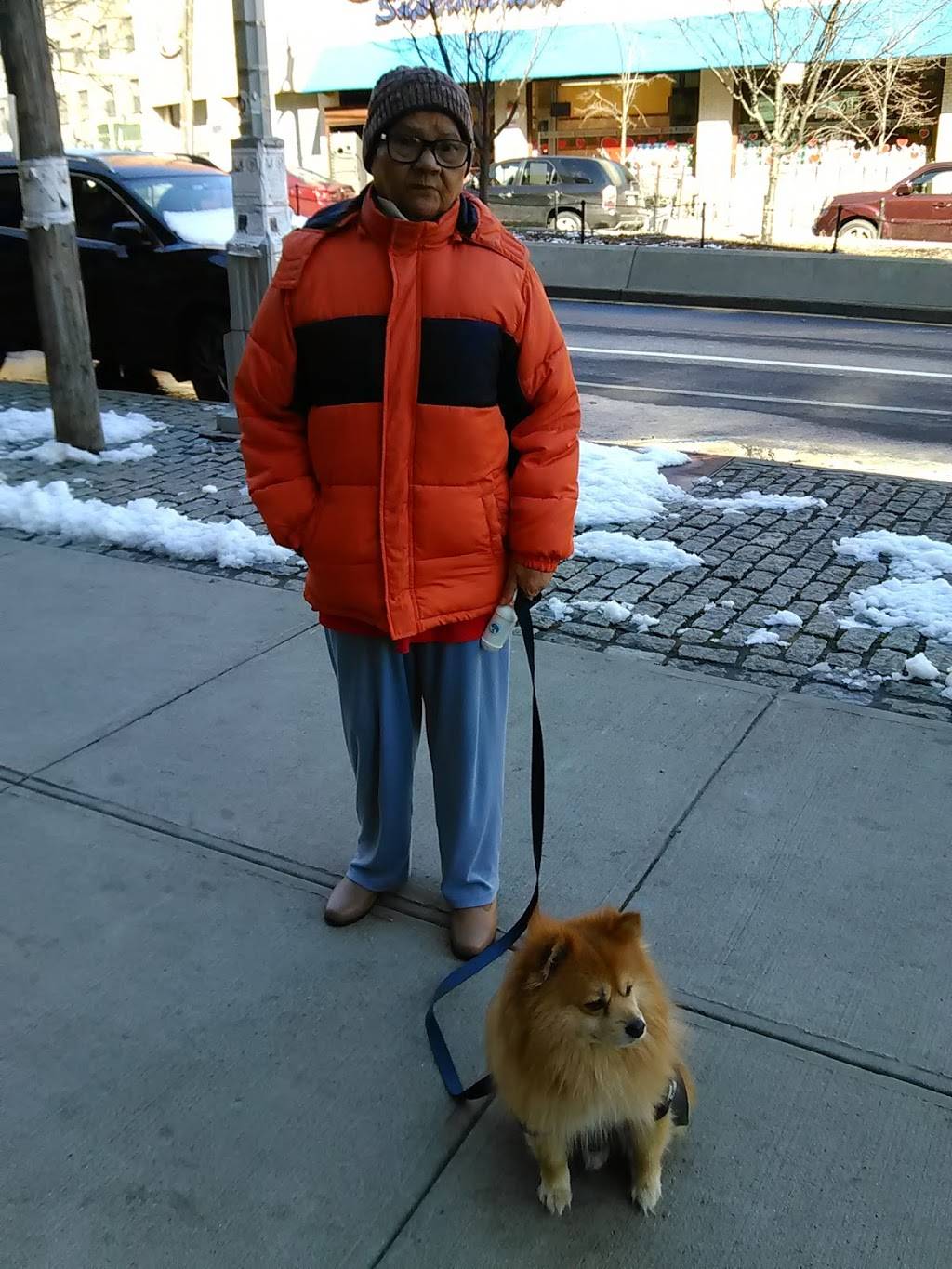 May May | restaurant | 741 Hunts Point Ave, Bronx, NY 10474, USA | 7185425307 OR +1 718-542-5307