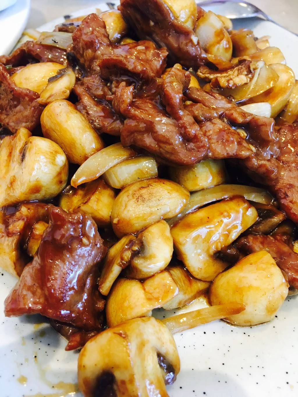 Pine Tree Garden Restaurant | restaurant | 10 Bur Oak Ave, Markham, ON L6C 0A2, Canada | 9058879922 OR +1 905-887-9922