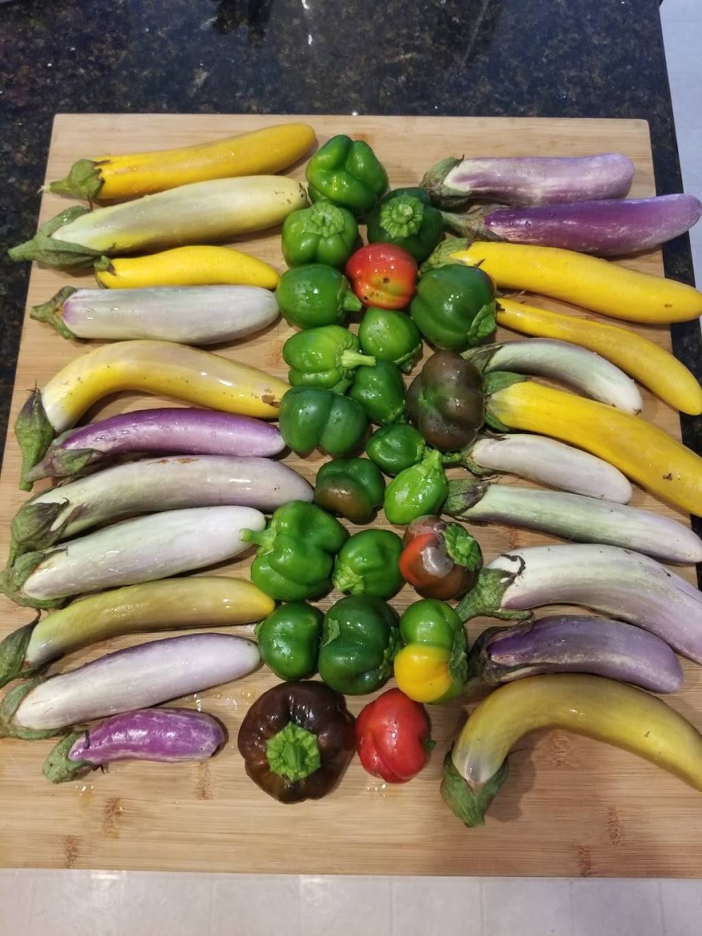 Flaming Kabob | restaurant | 2252 E Baseline Rd, Mesa, AZ 85204, USA | 4808136555 OR +1 480-813-6555