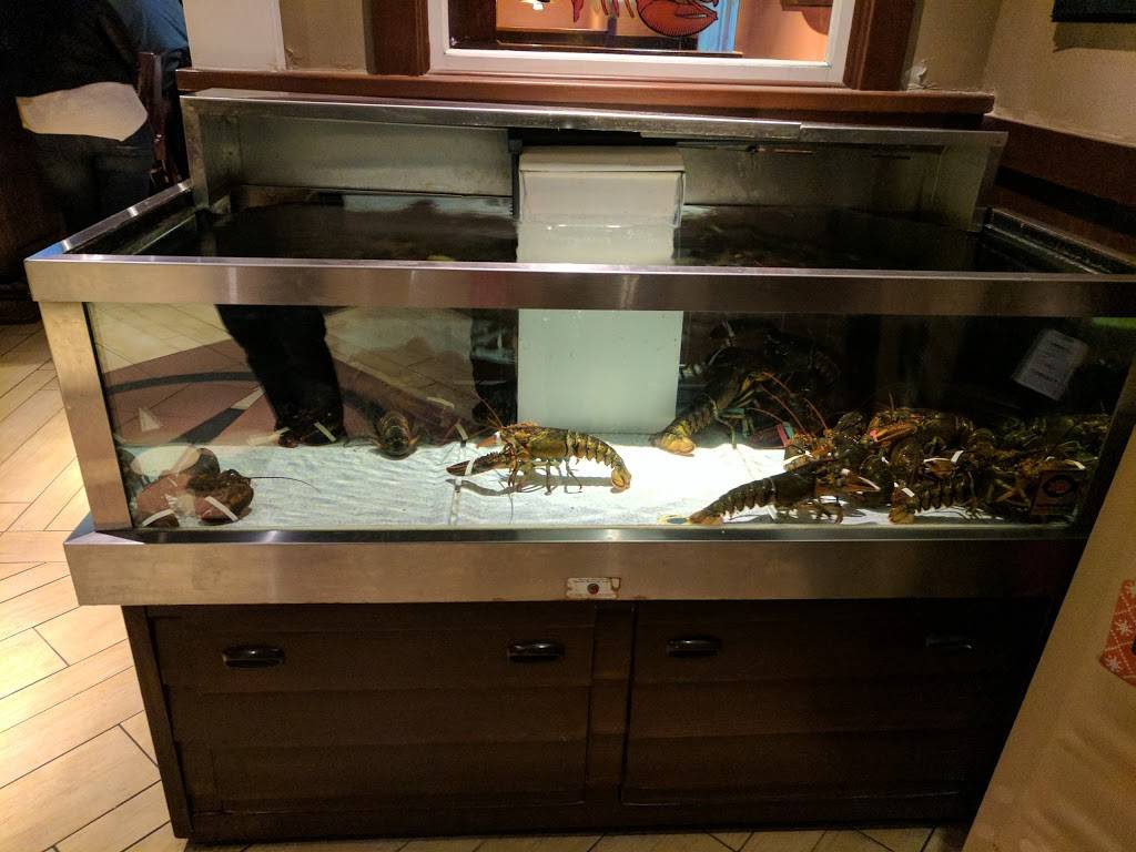 Red Lobster | restaurant | 320 Universal Dr N, North Haven, CT 06473, USA | 2032348917 OR +1 203-234-8917