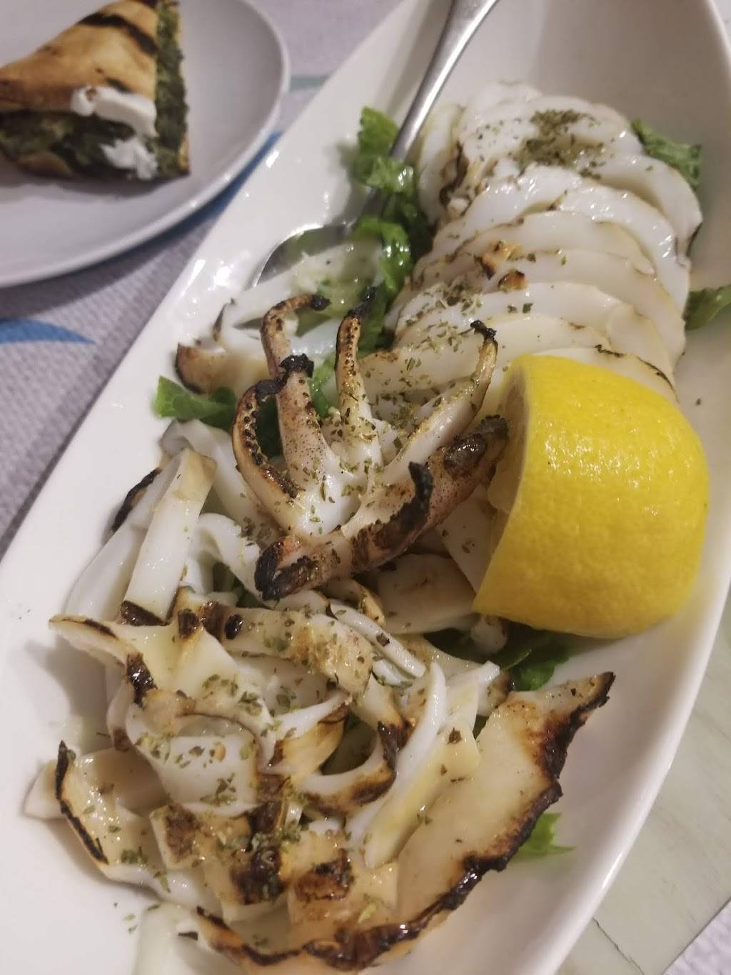 Syros Taverna | restaurant | 51 E Palisade Ave, Englewood, NJ 07631, USA | 2017313556 OR +1 201-731-3556