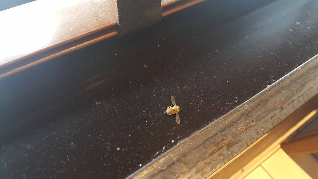 Starbucks | cafe | 1401 SW Wilshire Blvd, Burleson, TX 76028, USA | 8174474152 OR +1 817-447-4152