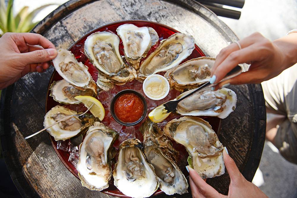 The Seafood Shack Marina, Bar & Grill | restaurant | 4110 127th St W, Cortez, FL 34215, USA | 9417941235 OR +1 941-794-1235