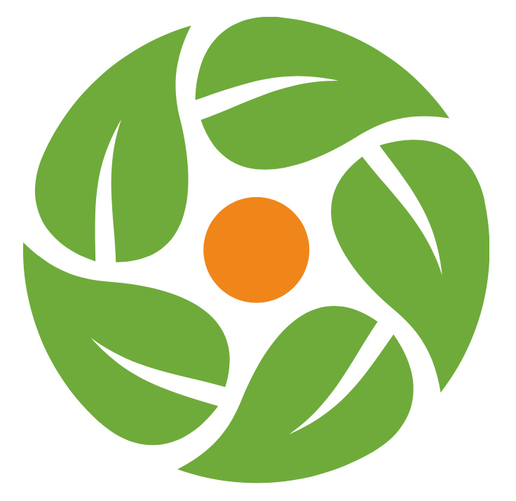 Curry Leaf | restaurant | 29 Washington St, Foxborough, MA 02035, USA | 7742155482 OR +1 774-215-5482