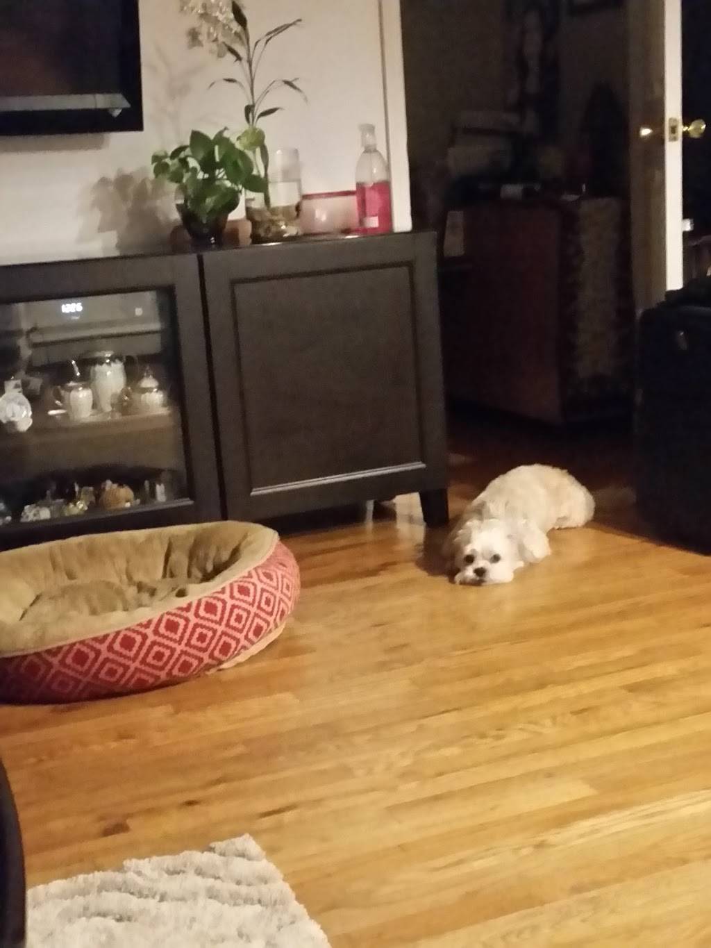 Vinicios | restaurant | 40-21 108th St, Flushing, NY 11368, USA | 7184783600 OR +1 718-478-3600