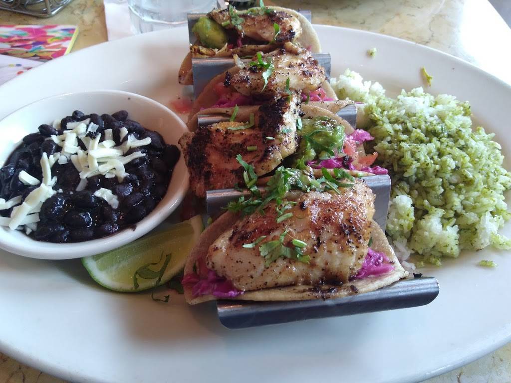 The Cheesecake Factory | restaurant | 2133 Green Hills Village Dr, Nashville, TN 37215, USA | 6154632400 OR +1 615-463-2400