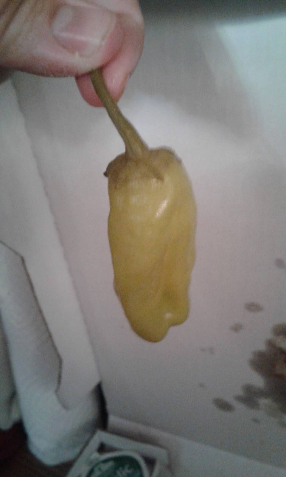 Papa Johns Pizza | restaurant | 13038 Cleveland Ave NW, Uniontown, OH 44685, USA | 3306998900 OR +1 330-699-8900