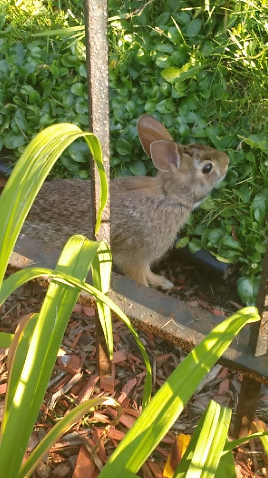 Clubhouse Fun Center (Greece) | restaurant | 3340 W Ridge Rd, Greece, NY 14626, USA | 5852255093 OR +1 585-225-5093