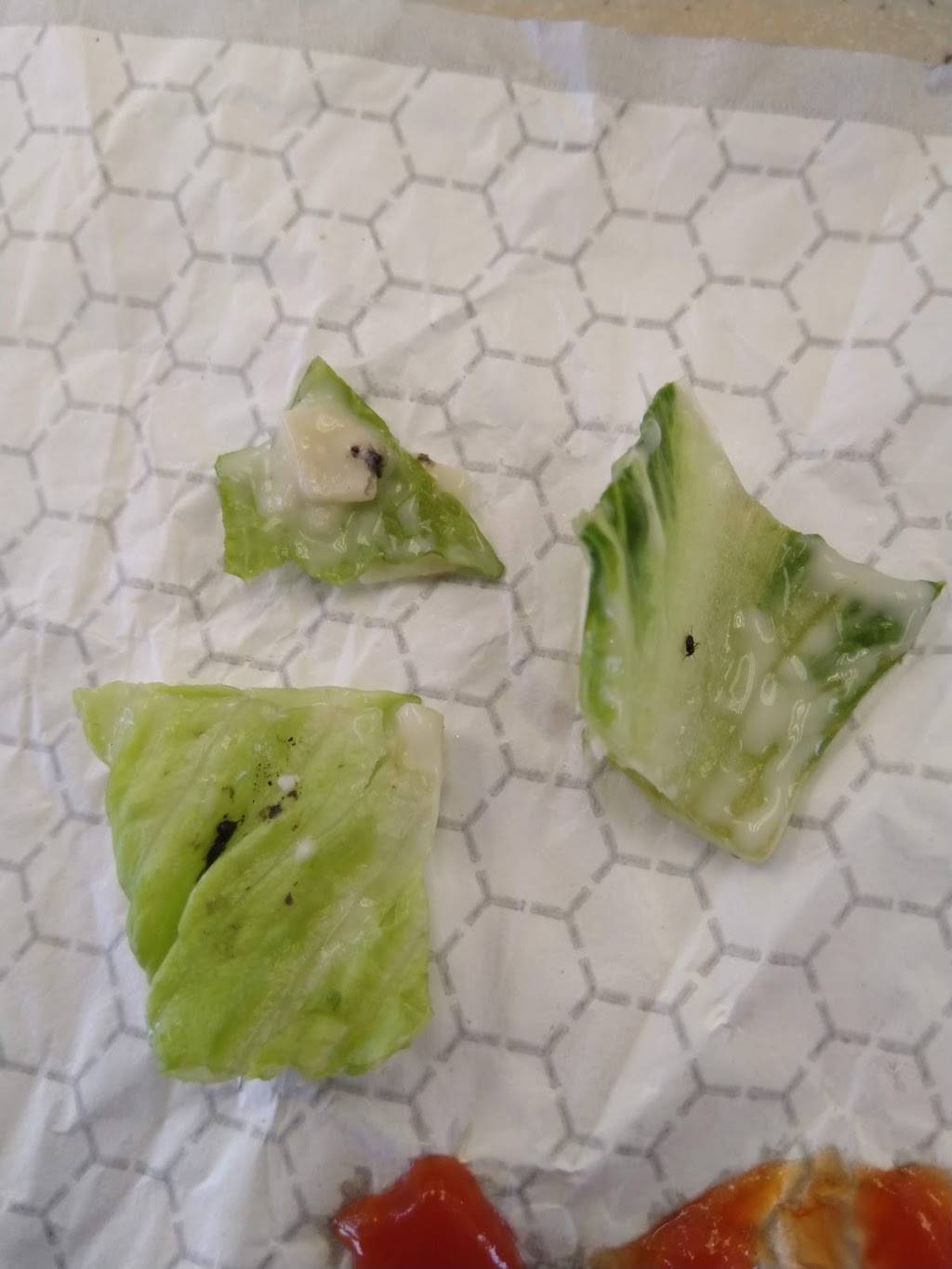 Wendys | restaurant | 102 Washington Towne Blvd, Edinboro, PA 16412, USA | 8147342921 OR +1 814-734-2921