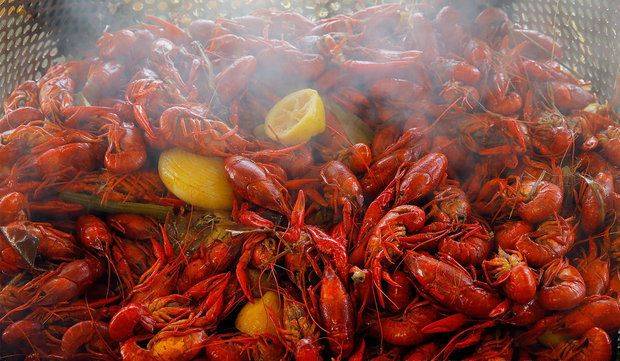 Louisiana Chicken and Fish Market | restaurant | 13257 Hawthorne Blvd, Hawthorne, CA 90250, USA | 3109788282 OR +1 310-978-8282