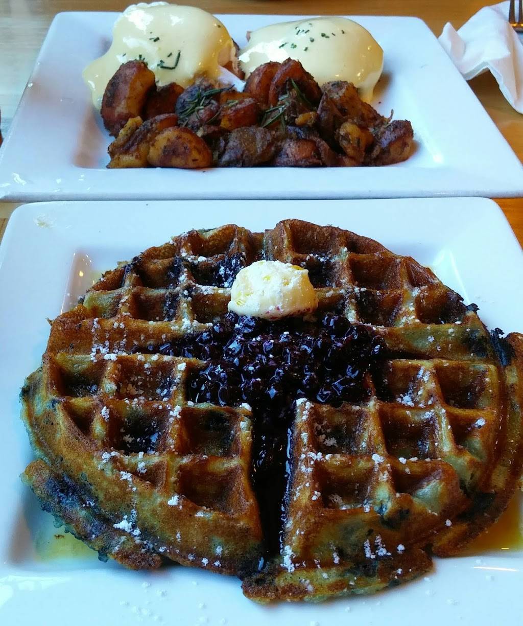 The Plate | restaurant | 2, 10 Bassett St, Milton, MA 02186, USA | 6176903494 OR +1 617-690-3494