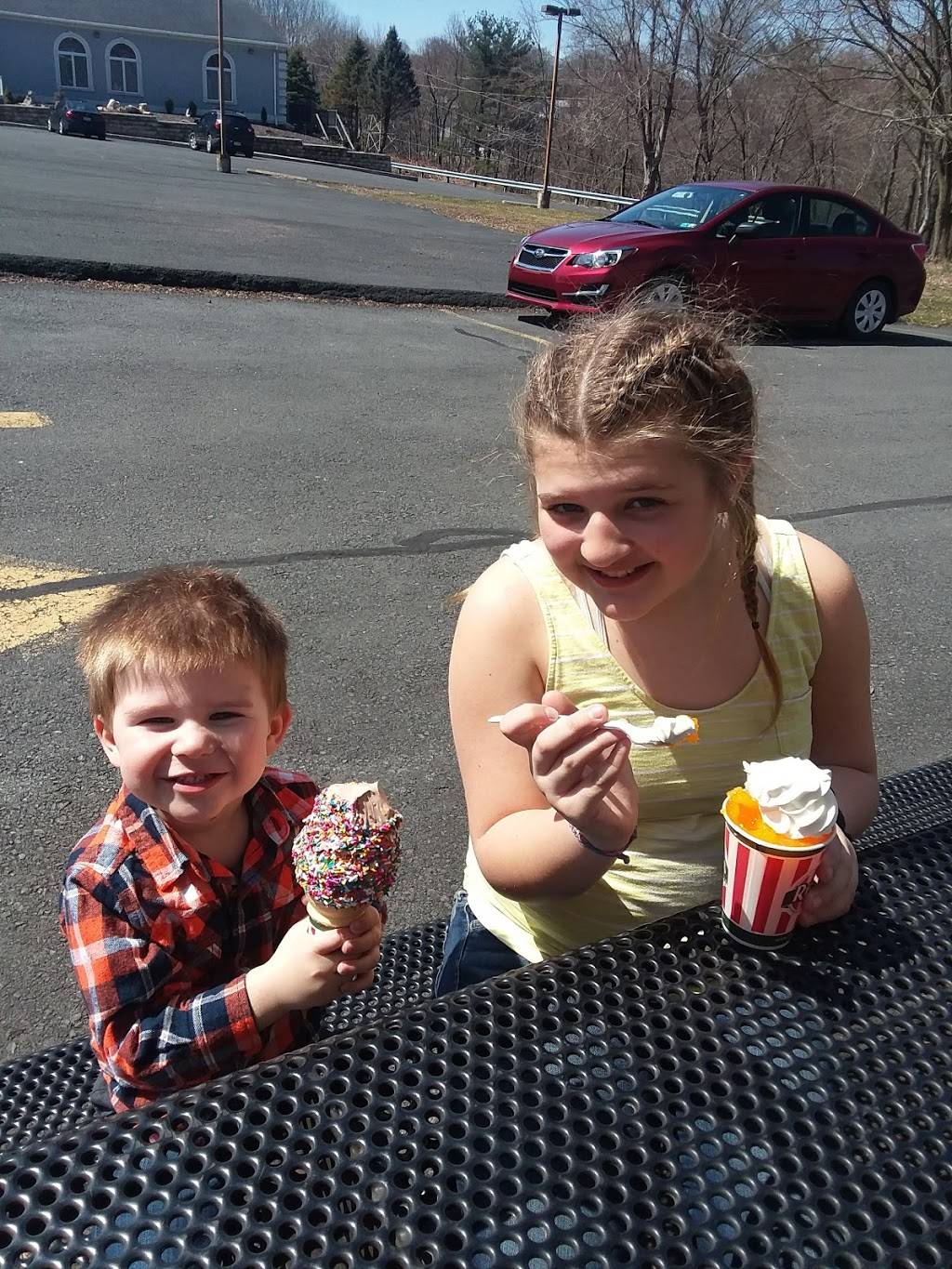 Ritas Italian Ice & Frozen Custard | restaurant | 1640 Mt Hope Ave, Pottsville, PA 17901, USA | 5706280350 OR +1 570-628-0350