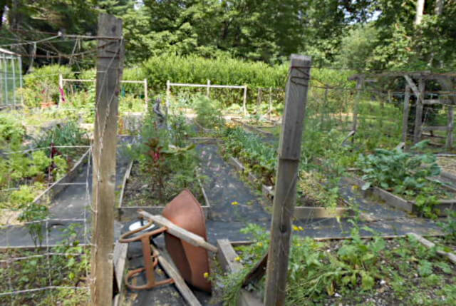 Catskill Rose Lodging & Dining | restaurant | 5355 NY-212, Mt Tremper, NY 12457, USA | 8456887100 OR +1 845-688-7100