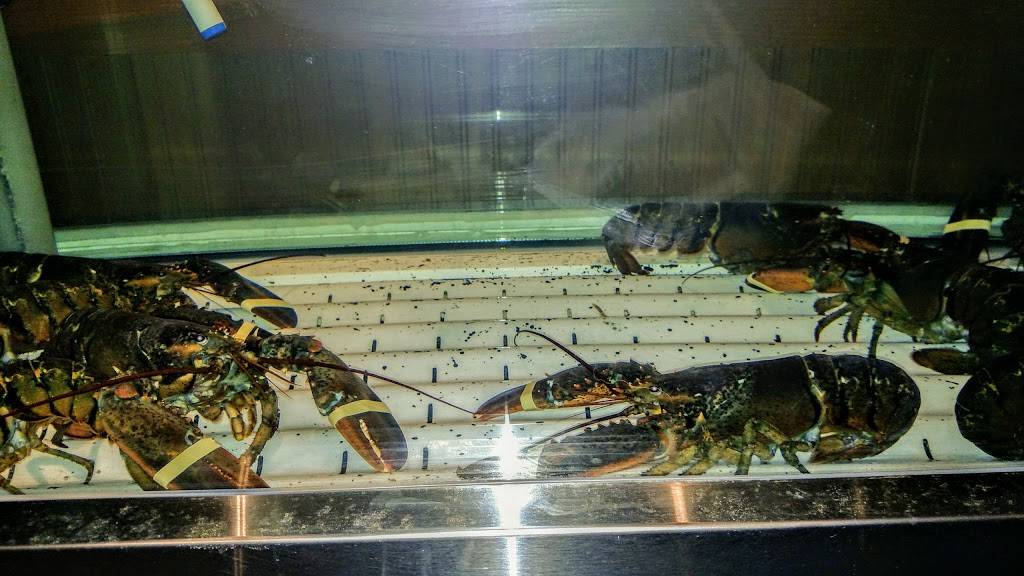 Red Lobster | restaurant | 4109 Wilder Rd, Bay City, MI 48706, USA | 9896679333 OR +1 989-667-9333