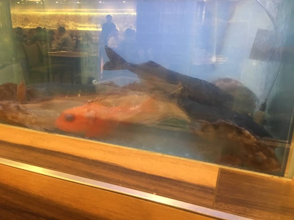 酸爽一碗（suanlafennoodles llc） | restaurant | 662 Barber Ln, Milpitas, CA 95035, USA | 4085710888 OR +1 408-571-0888