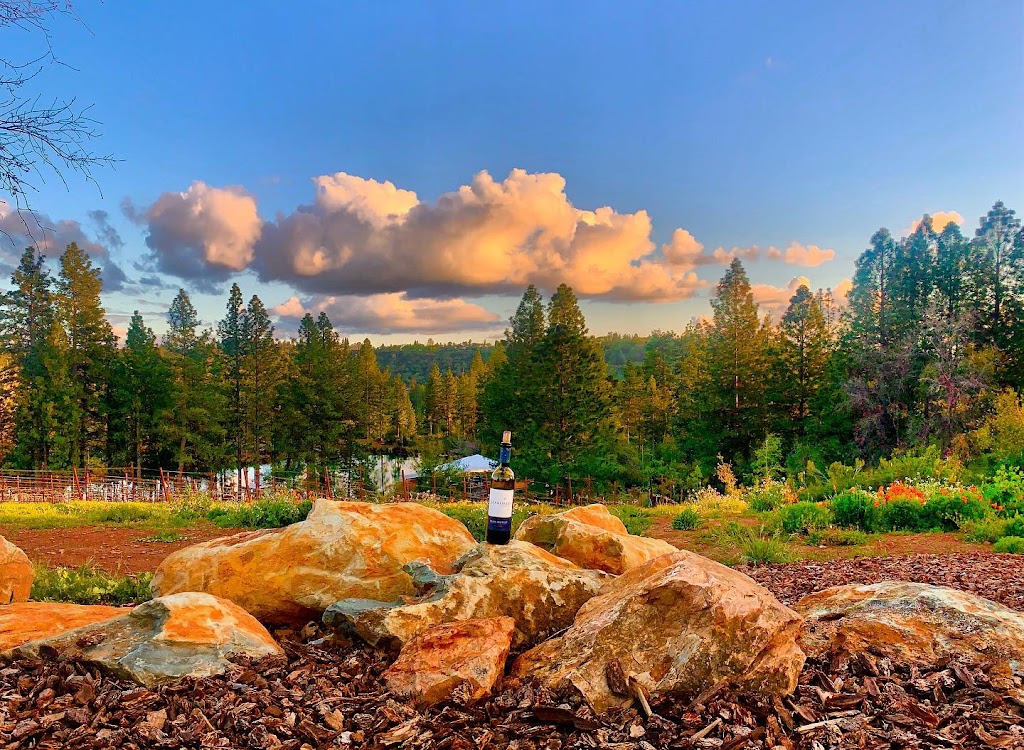 Starfield Vineyards & Winery | restaurant | 2750 Jacquier Rd, Placerville, CA 95667, USA | 5307483085 OR +1 530-748-3085
